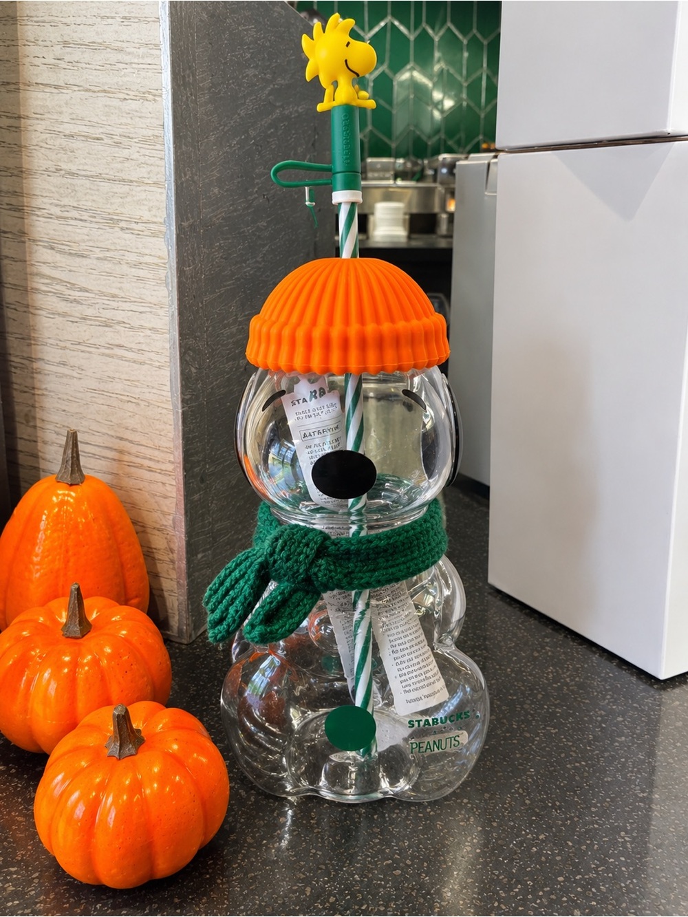 Starbucks Peanut Snoopy Brand New
